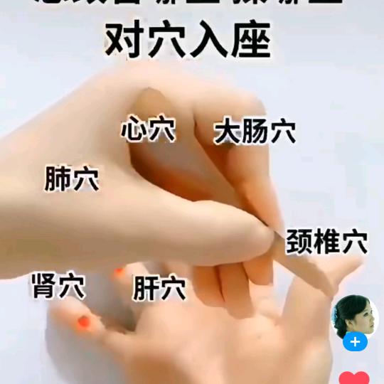 力量举健身健美🏋🏻️