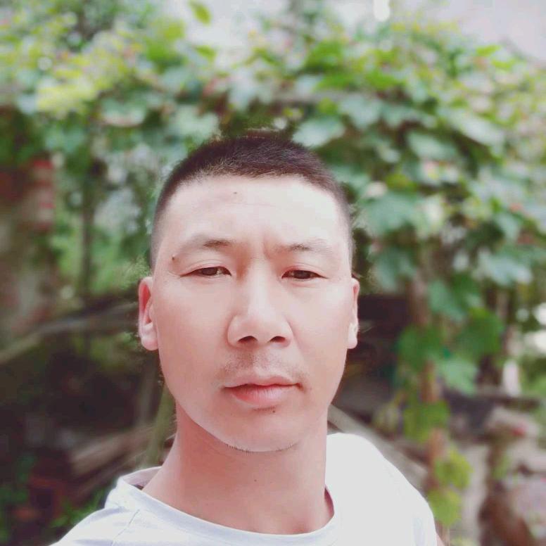 抖哥：花儿的守护