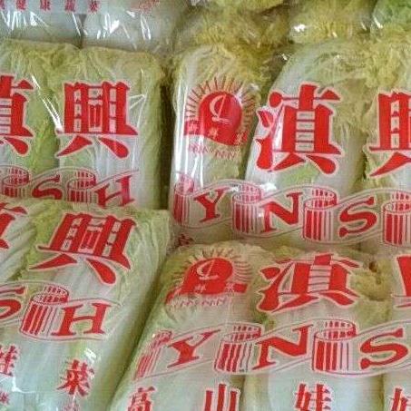 娃娃菜