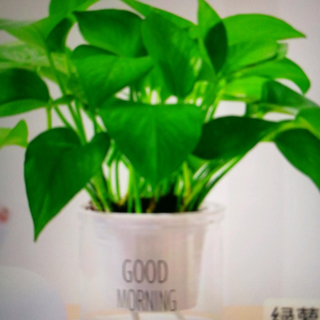 ꧔ꦿ᭄ 袁🕊来💞是你᭄࿐