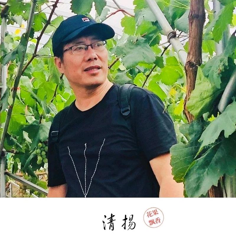 花果飘香