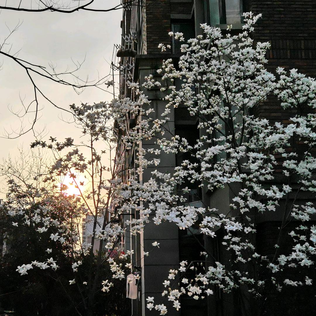 七天捂理尤退款