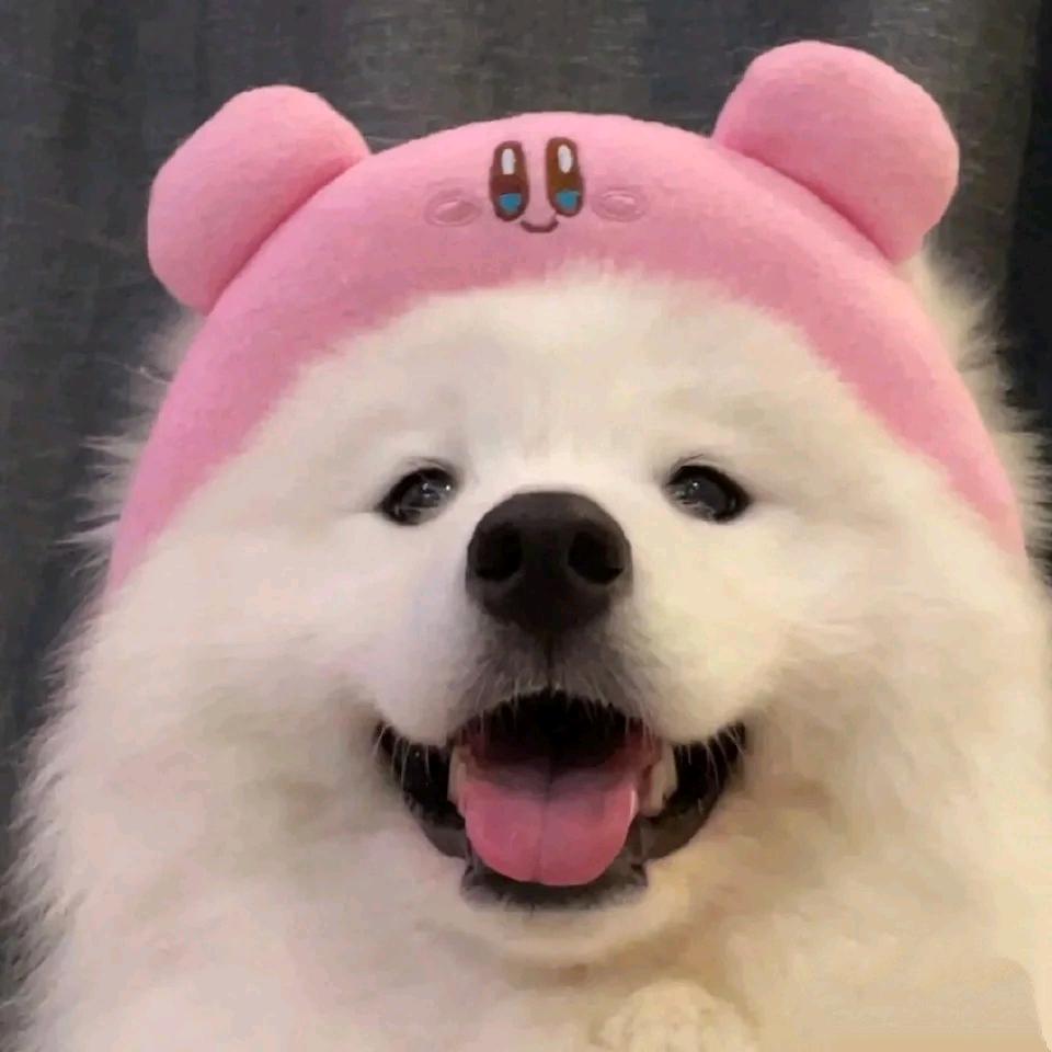 珠可可diy手作