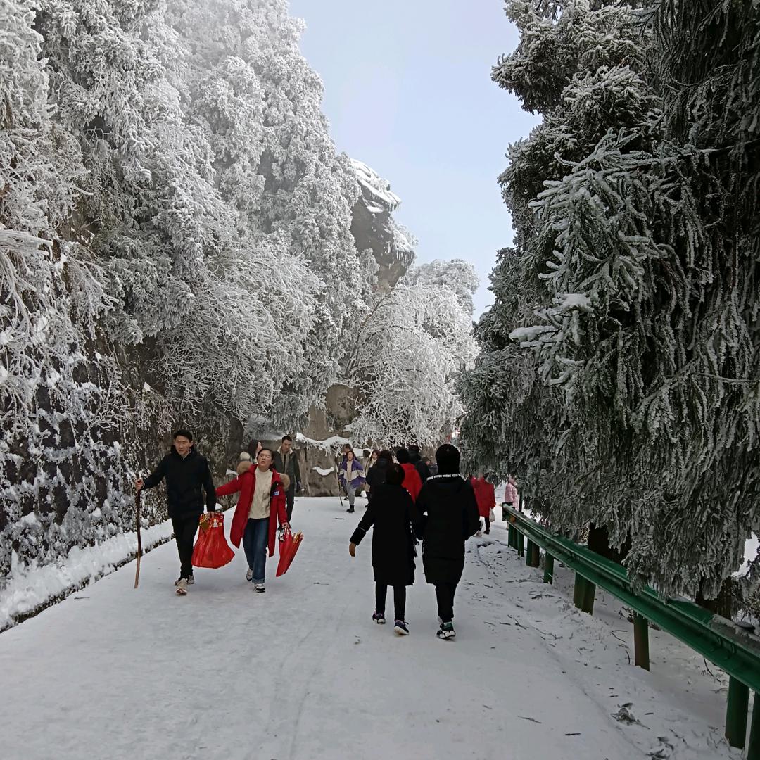 20220222风再起雨