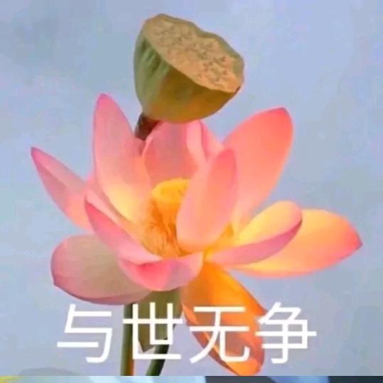奶思