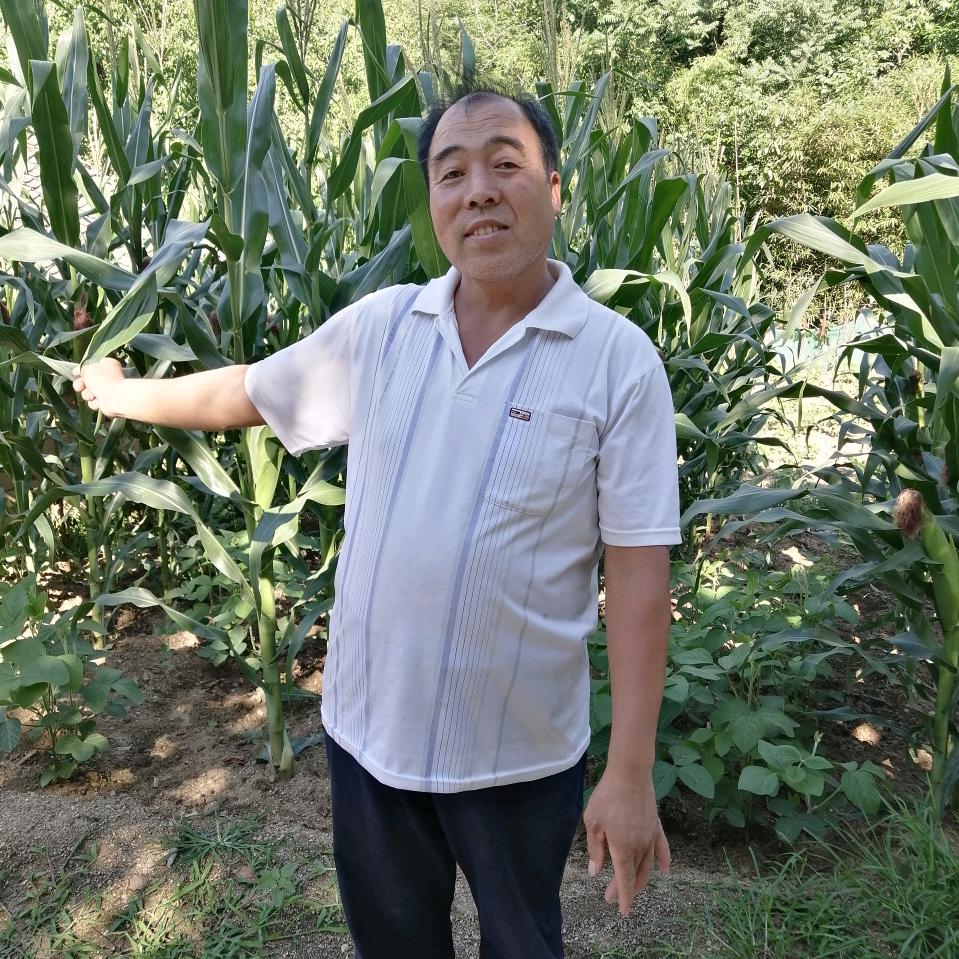 穷开心的善良人，