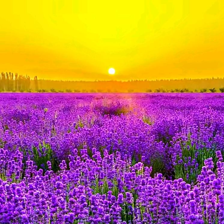 五湖四海天南地北