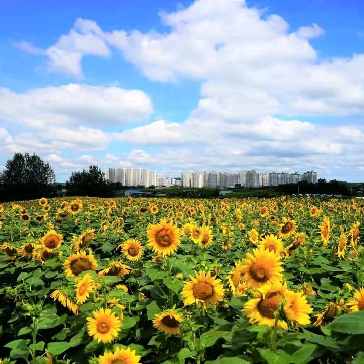 王不二