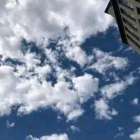 另类戏精