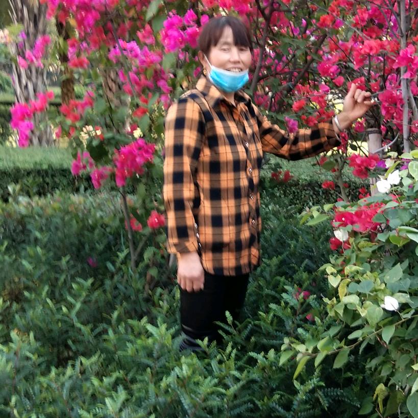 霞