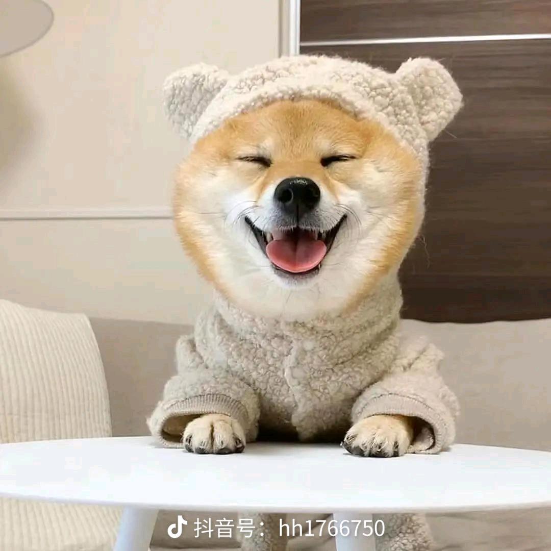 及時行樂。