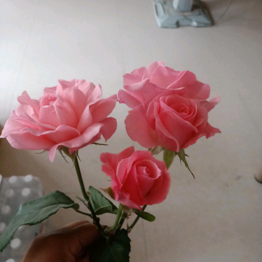 有你真幸福