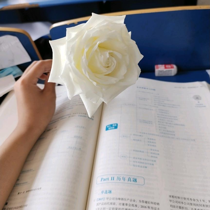 参天大树✿