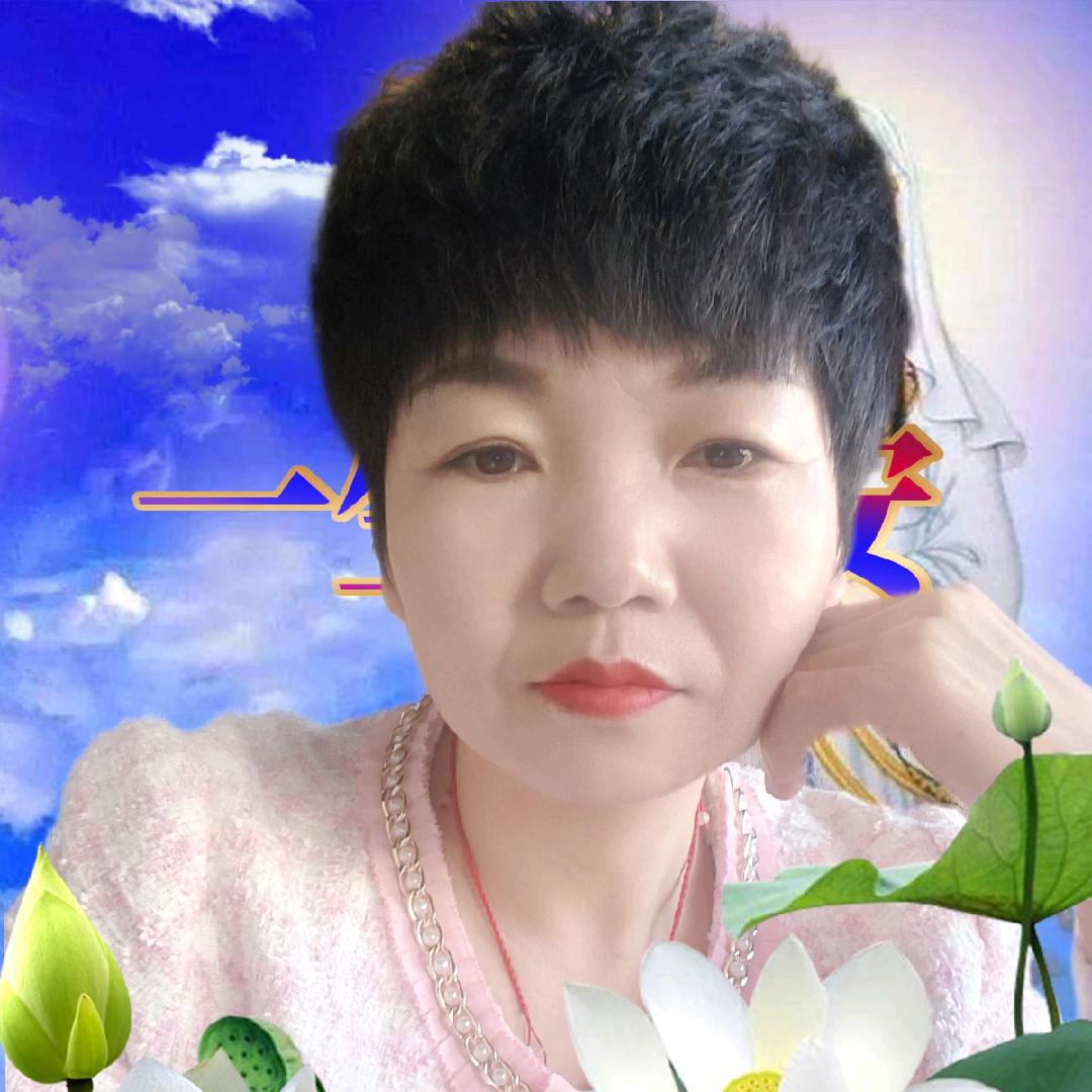 清雅竹韵