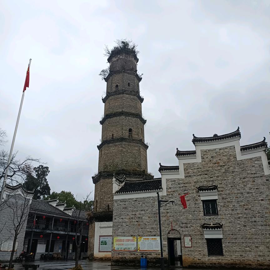 秋风红叶