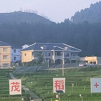 ₅₂₀💞࿐潘黄万岁💕 ❧⁵²⁰