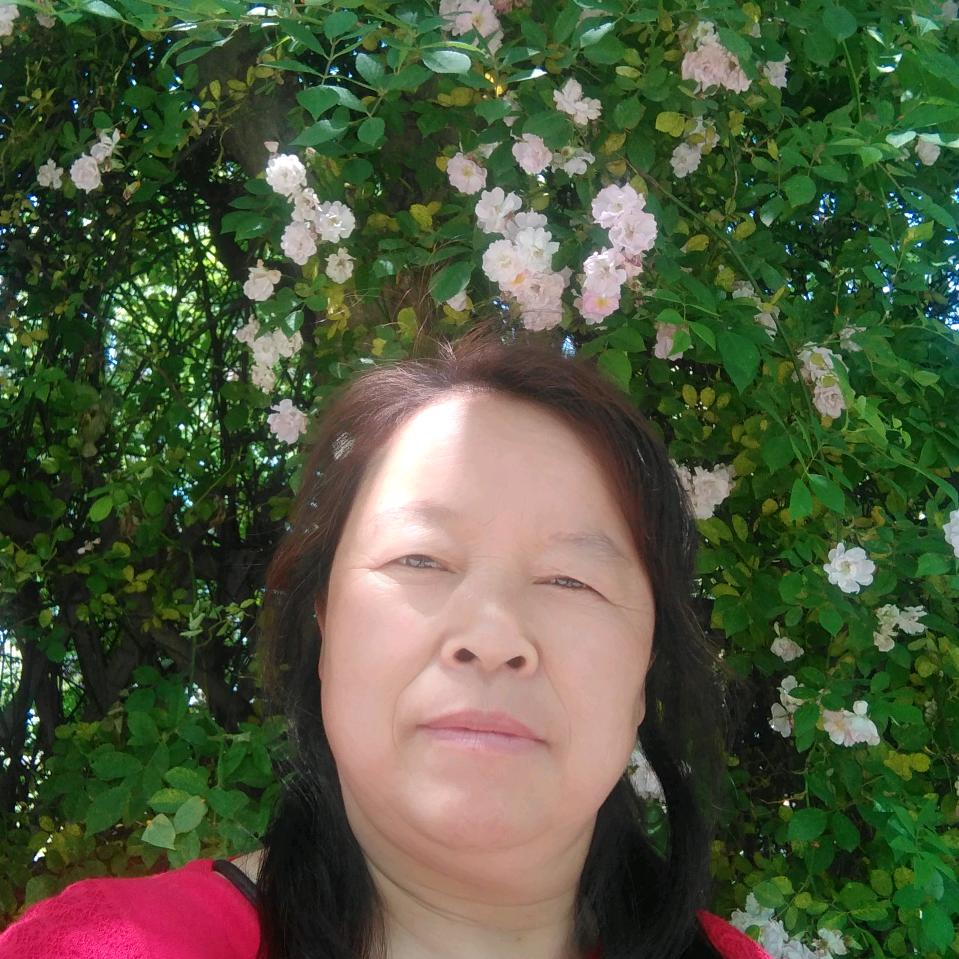 进击的紫罗兰