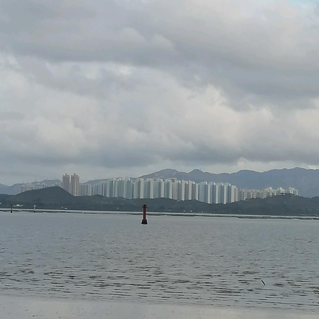 明天会更好