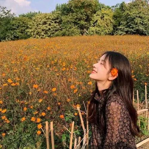 🌻微笑向暖