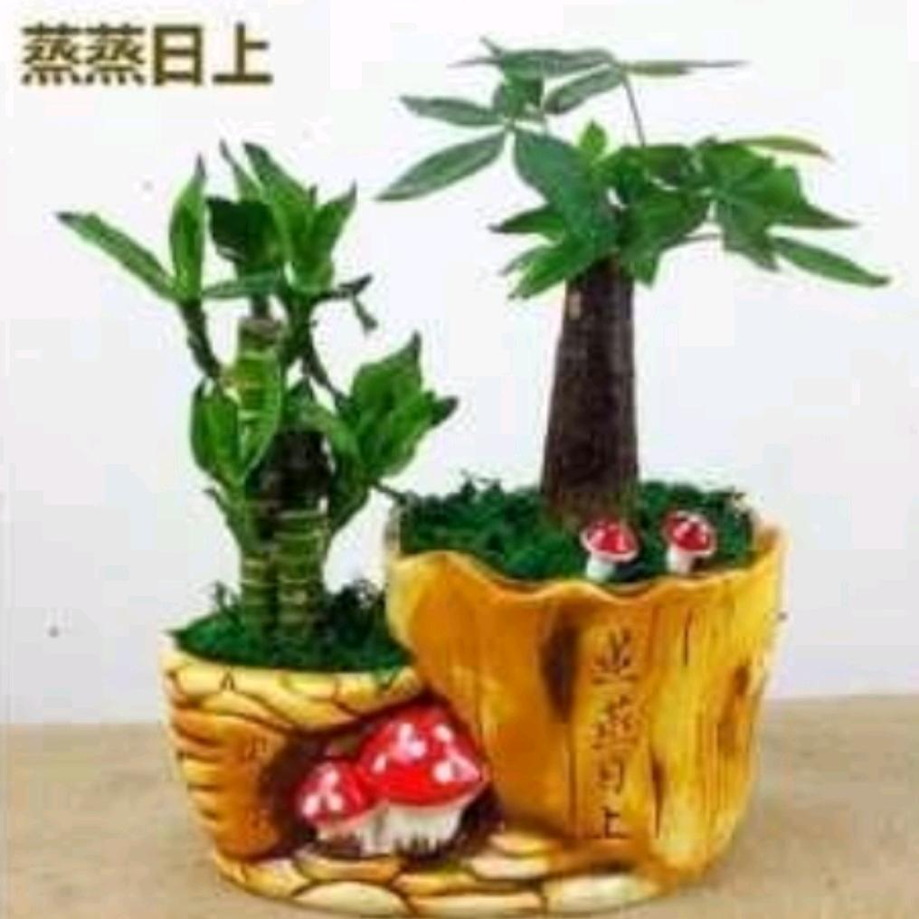 国兴物流有限公司