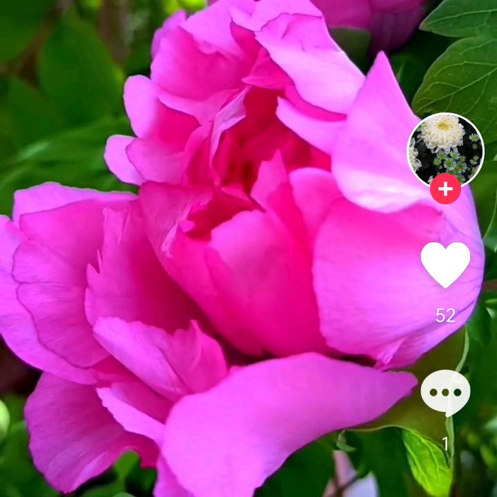 春夏秋冬