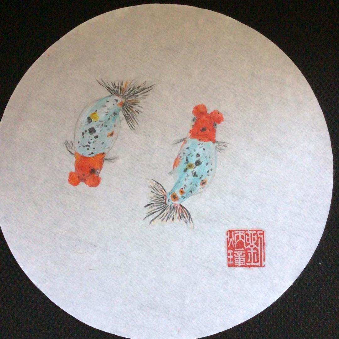 青岛友铭观赏鱼