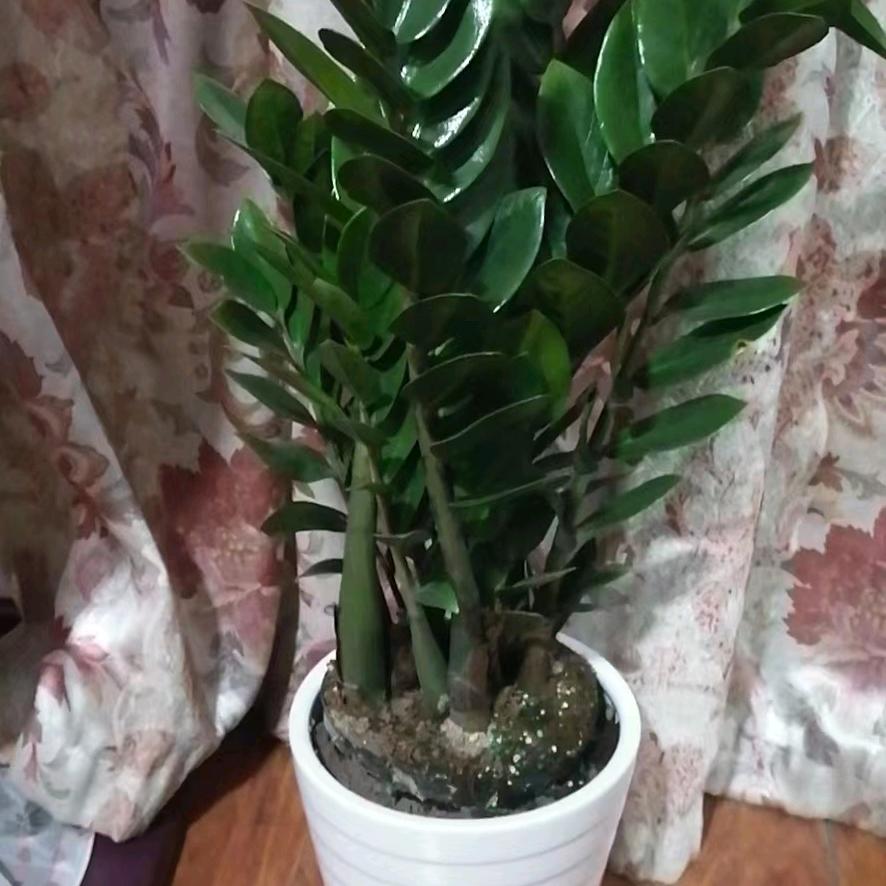 看云观天