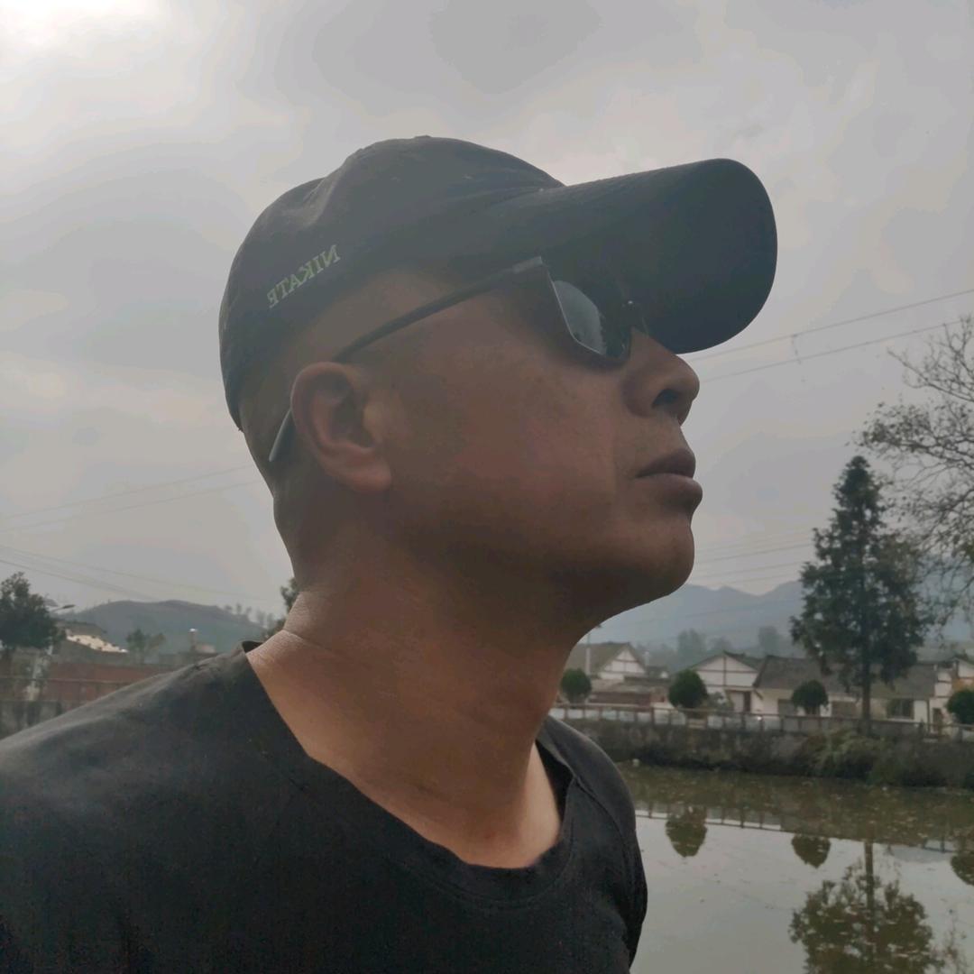小八哥