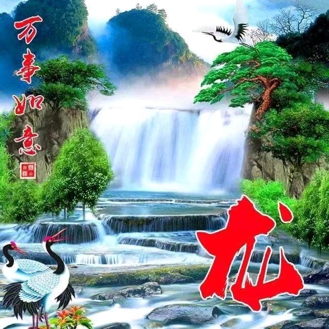 龙