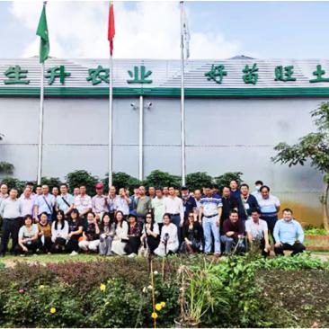 生升农业好苗旺土育苗基质厂家