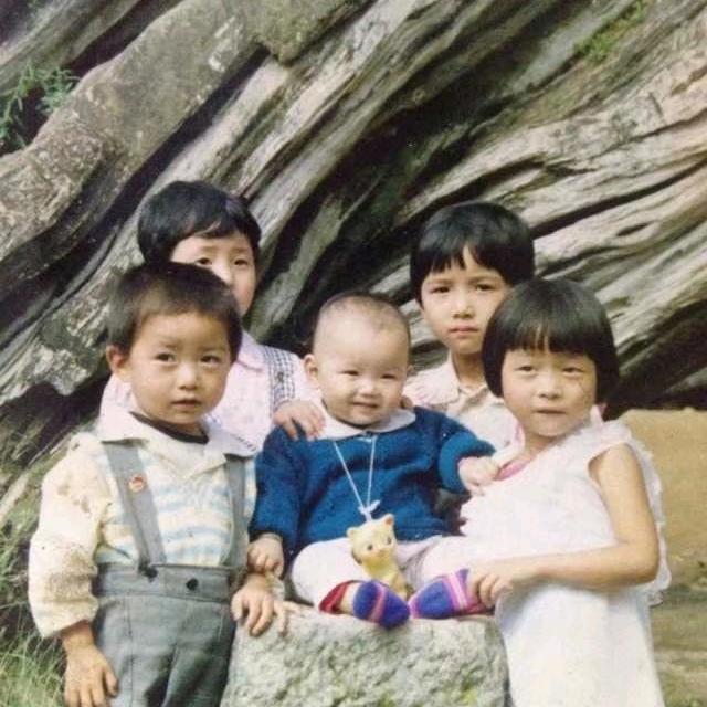 丹