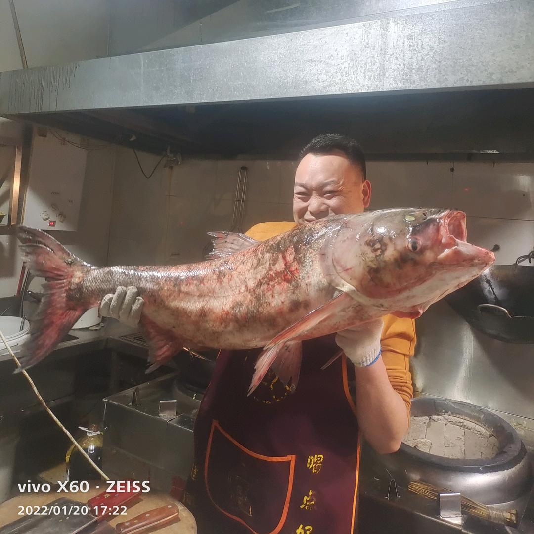 巴中杨记太安鱼