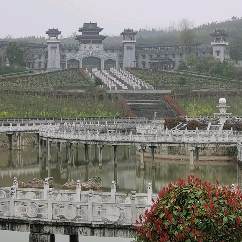 金凤饲料老河口推荐官