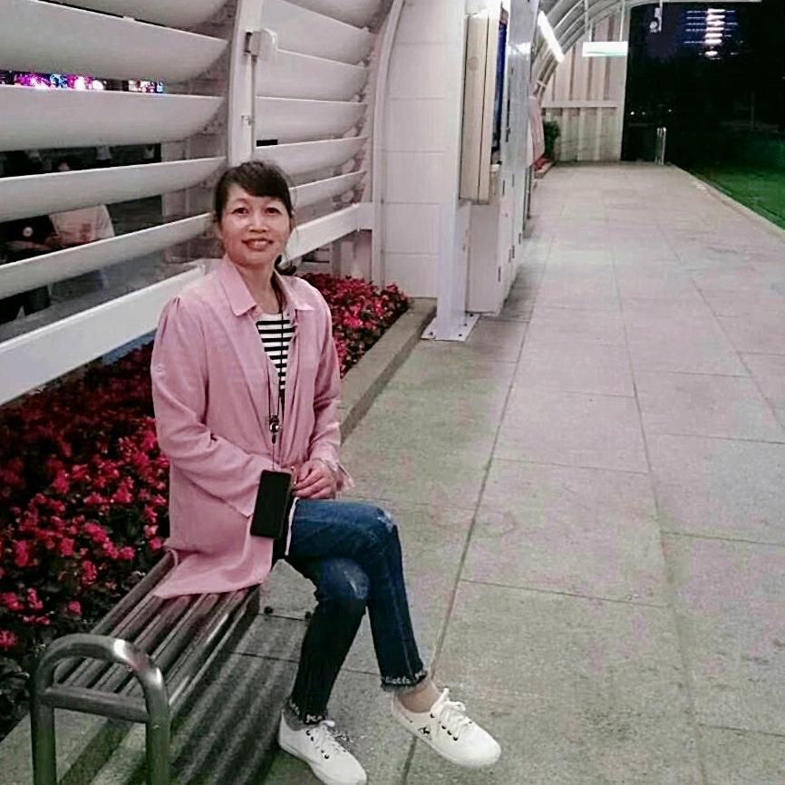 云琴大姐网络科技工作室