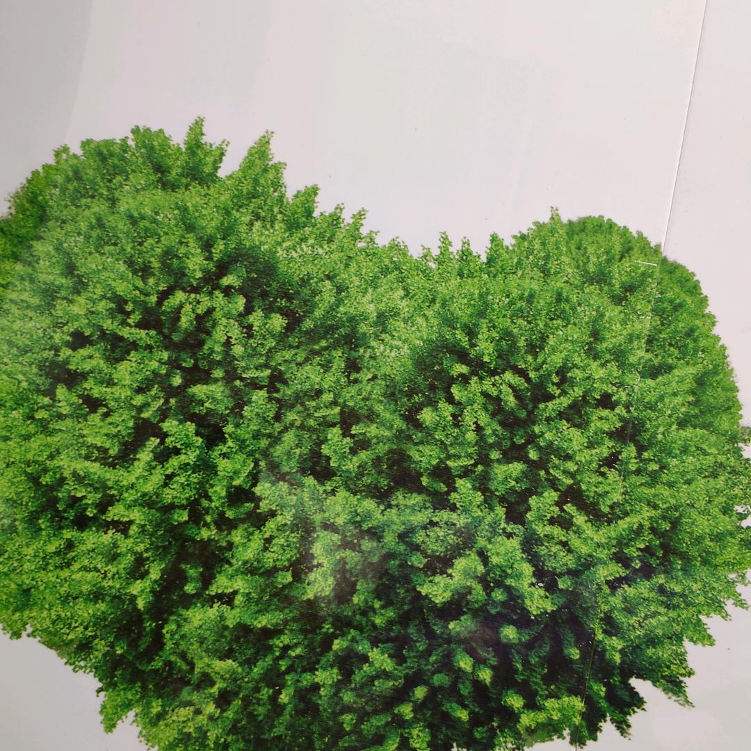 静心❤️
