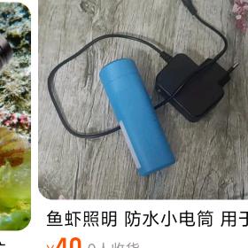 鱼虾照明防水小电筒
