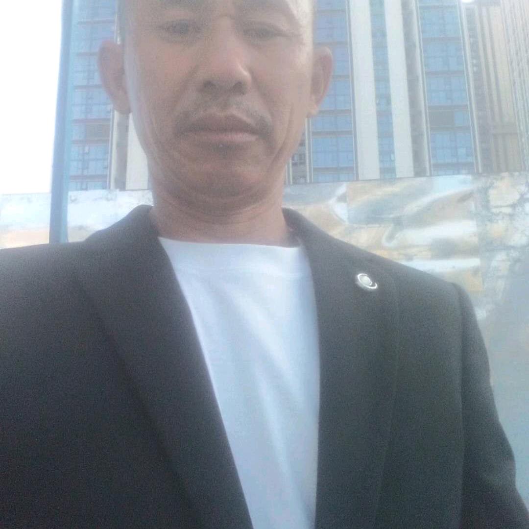 杨八哥