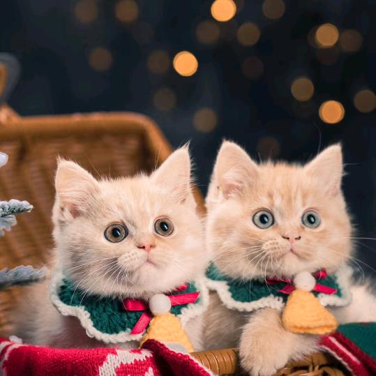 亿塑工艺品有限公司