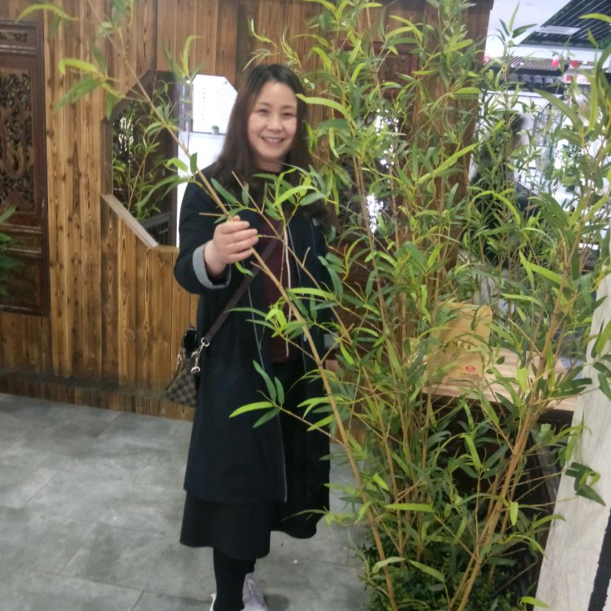 风轻云淡@