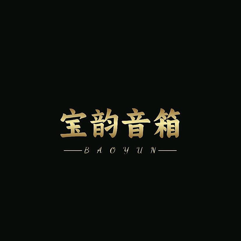 宝韵音箱（小龙）