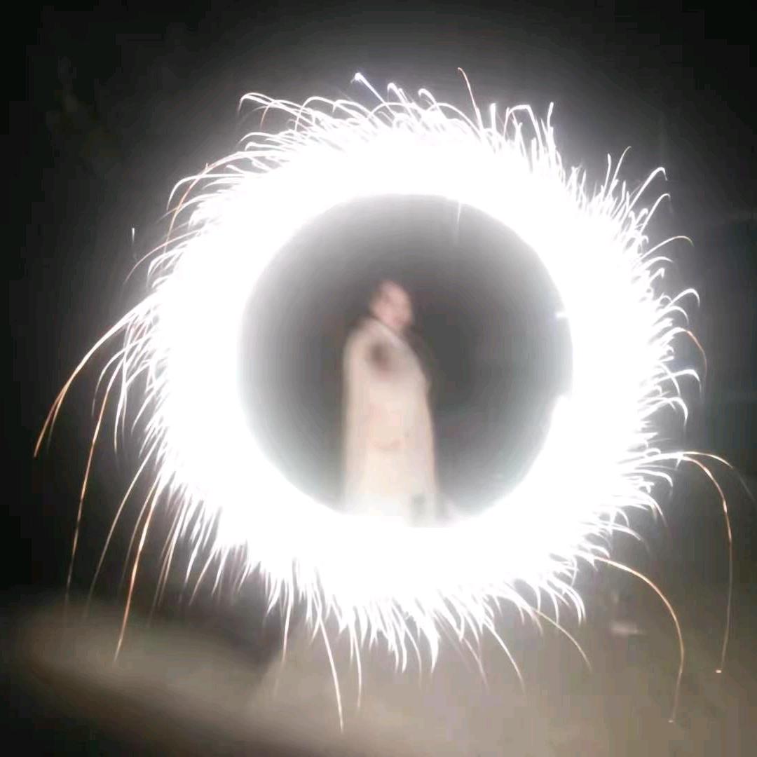 兰有秀兮菊有芳
