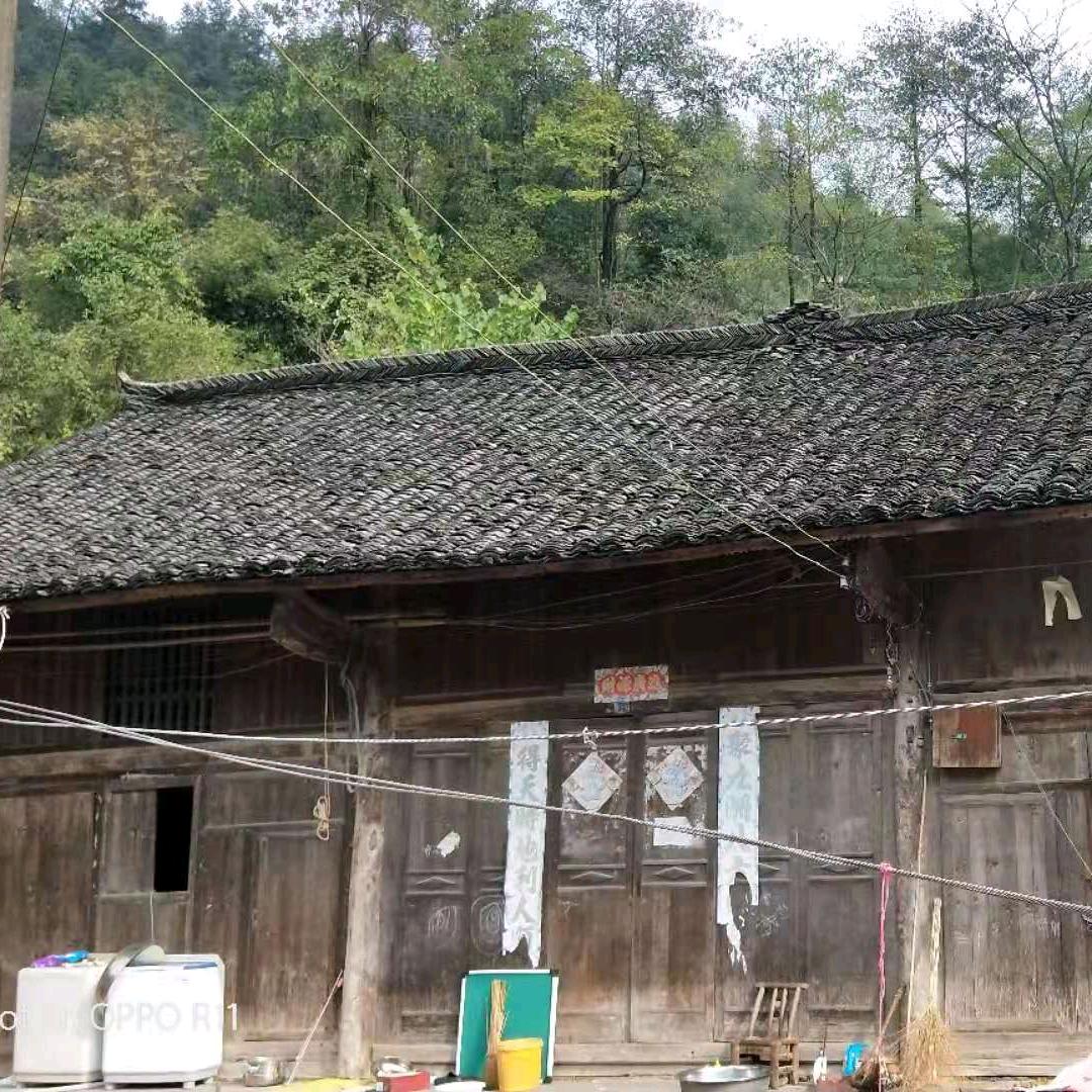 啊李郎