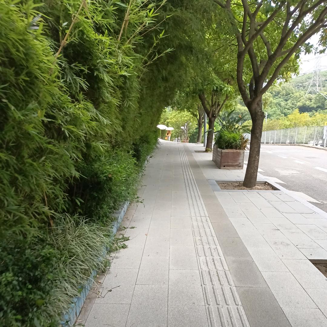 不想跑步的刚