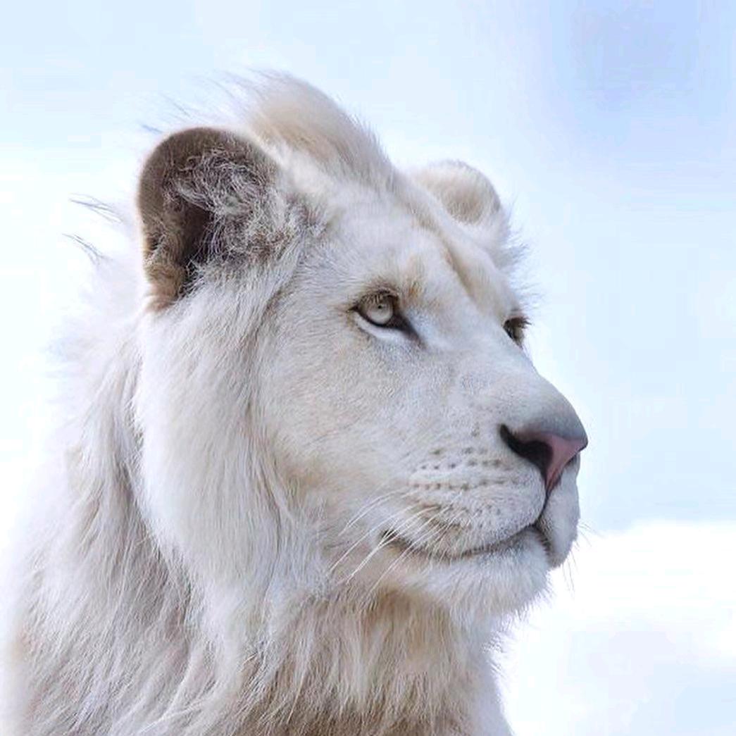 🎋红尘来去一场空🎋
