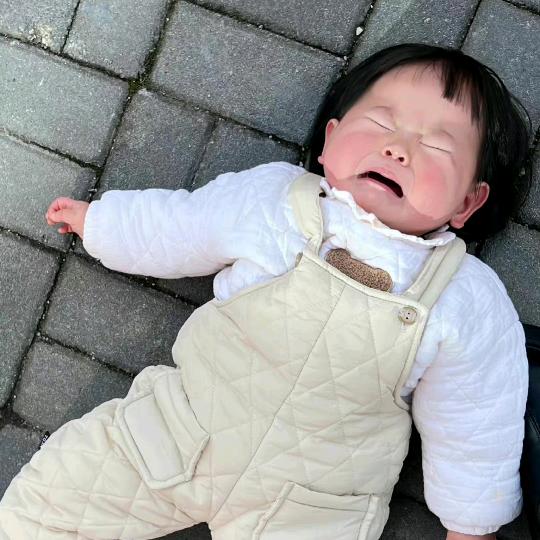 麦冬大冻