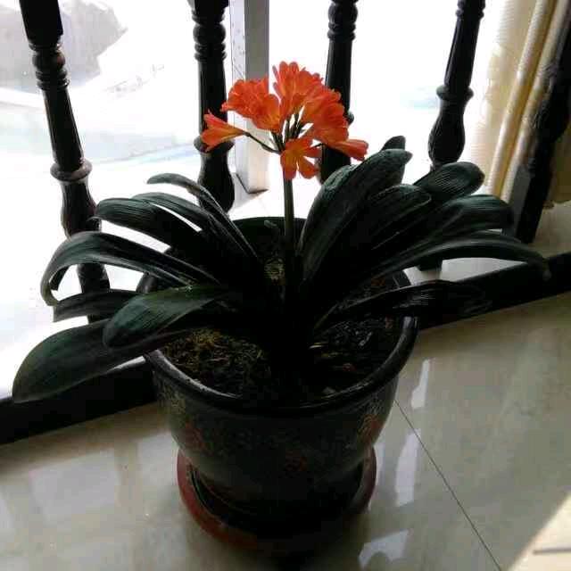 白云边