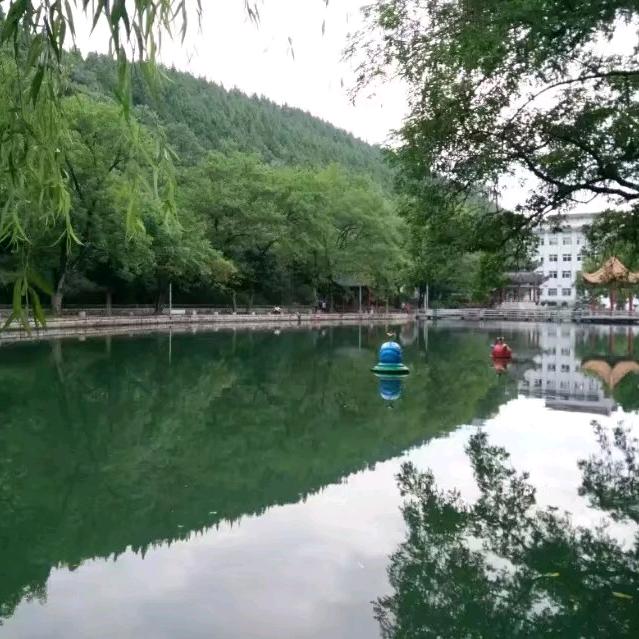 大森林林