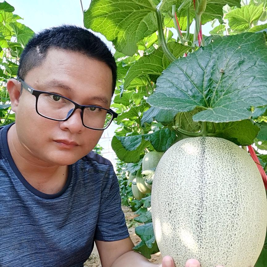 密瓜槟榔阿云