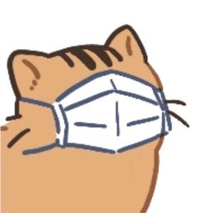 旧旧的猫