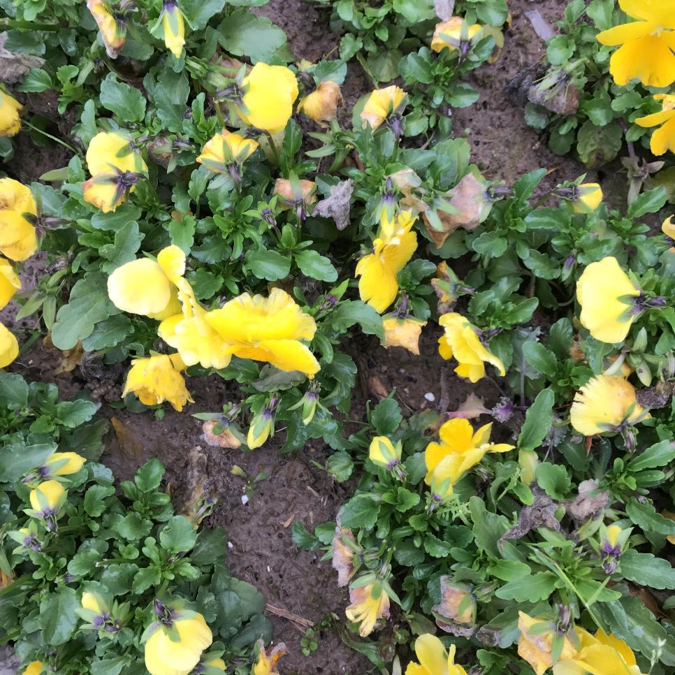 💕婷婷💕❤️❤️